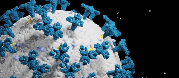 ​3D Model of a Covid-19 Virus their spikes are rendered blue, several proteins in light blue and orange