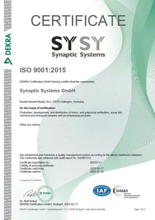 ISO 9001:2015 certification for Synaptic Systems