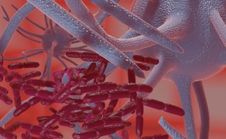 3D image of a macrophage attacking bacteria